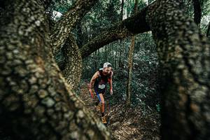 BIB: 
                            <button type="button" onclick="openModal(25392244)" class="btn btn-primary btn-sm float-right btn-popup" data-toggle="modal" data-target=".modal-high-quality">
                        <i class="fas fa-shopping-cart"></i> Add to Cart
                    </button>
                                            <button type="button" onclick="isThisMe(25392244, true)" class="btn btn-success btn-sm float-right btn-popup btn-isme hidden" data-toggle="tooltip" data-placement="bottom" title="นี่คือรูปของคุณใช่ไหม คลิกที่นี่เพื่อเอาเข้าอัลบั้ม">
                        <i class="fas fa-plus"></i> Add to album
                    </button>
                    <button type="button" onclick="isThisMe(25392244, false)" class="btn btn-warning btn-sm float-right btn-popup btn-isnotme hidden">
                        <i class="fas fa-ban"></i> Remove from album
                    </button>